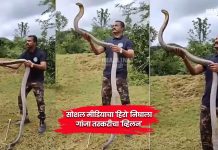 YouTuber Akash Jadhav : सोशल मीडियाचा ‘हिरो’ निघाला गांजा तस्करीचा ‘व्हिलन’; असा उघड झाला अहिल्यानगरचा सर्पमित्र आकाश जाधवचा खरा चेहरा